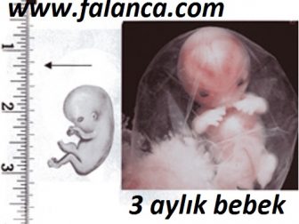 anne karninda üc aylik bebek