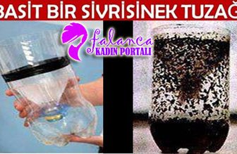 Sivrisinek Tuzağı Yapılışı
