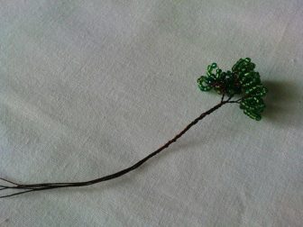 bonzai