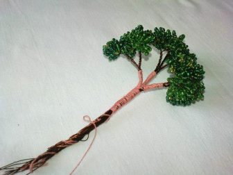 bonzai 1