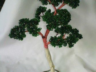 bonzai 2