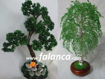 bonzai 3