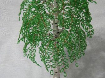 bonzai yapilisi