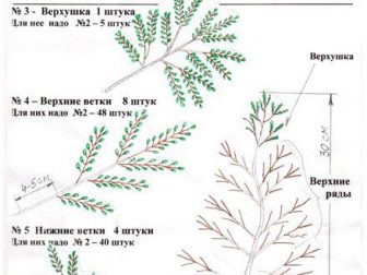 bonzai yapilisi 1
