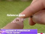 deryanin dunyasi yelek anlatimli lastik resimli 11