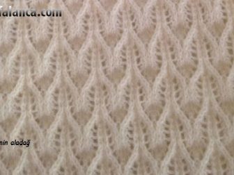 evrensekiz ornegi video