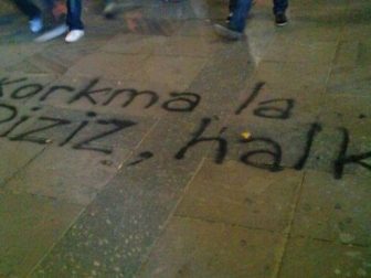 gezi parki resimler 6