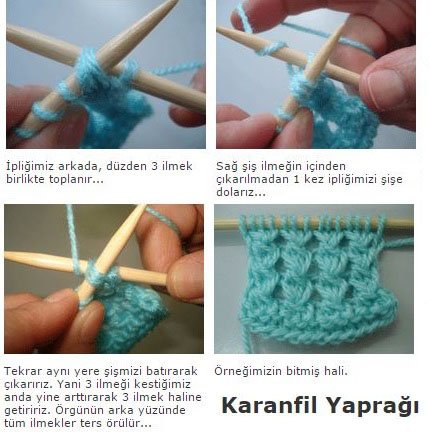 karanfil yapragi 1