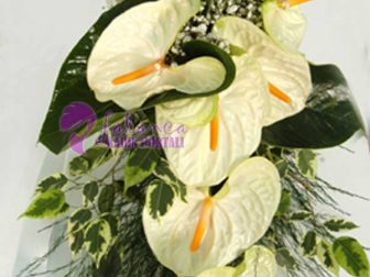 leydi gelin el cicegi 2