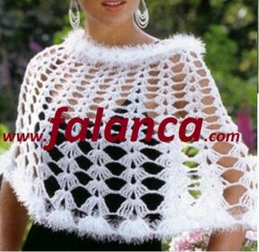 lizoz  e1612703171634