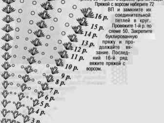 lizoz 11