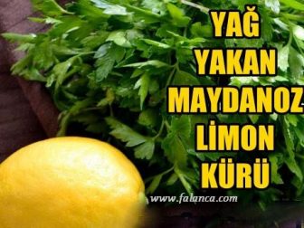 maydonoz limon kuru