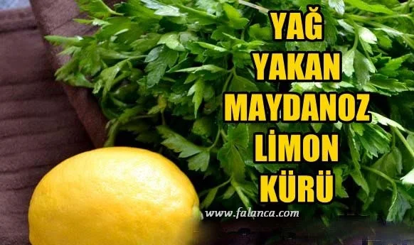 maydonoz limon kuru