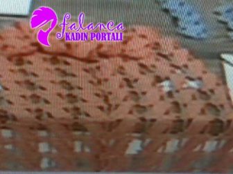 nurgun tezcan sal 11