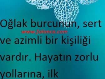 resimli burclar 2