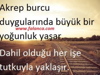 resimli burclar 4