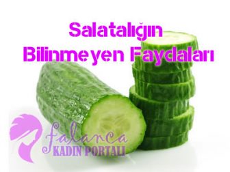 Salatalığın Bilinmeyen Faydaları