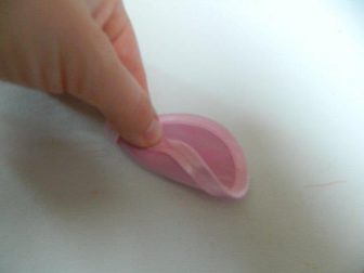 saten baris cicegi 4